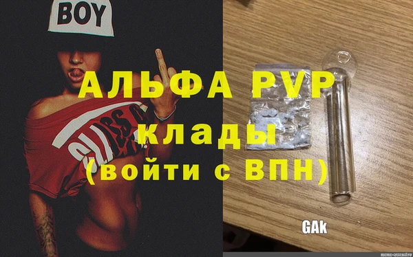 мдпв Дмитриев