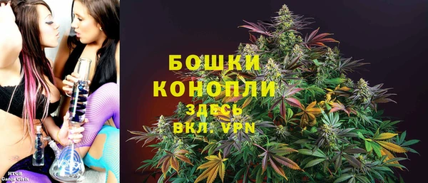 мдпв Дмитриев