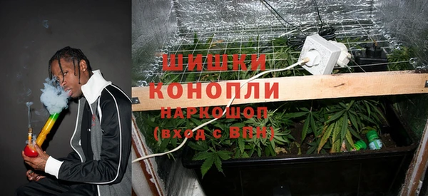 мдпв Дмитриев