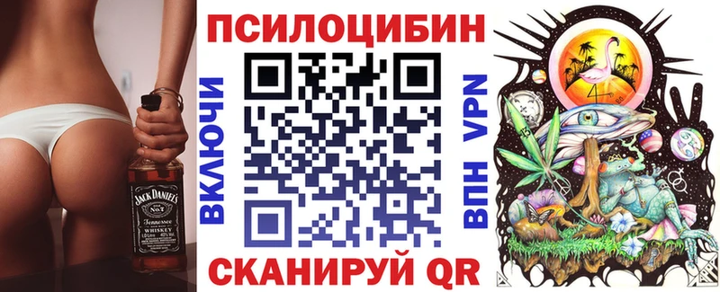 Купить  Циолковский  Галлюциногенные грибы Cubensis 